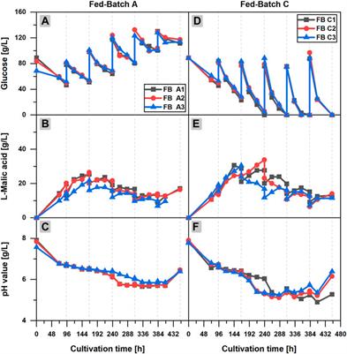 Enhanced l-Malic Acid Production by Aspergillus oryzae DSM 1863 Using Repeated-Batch Cultivation